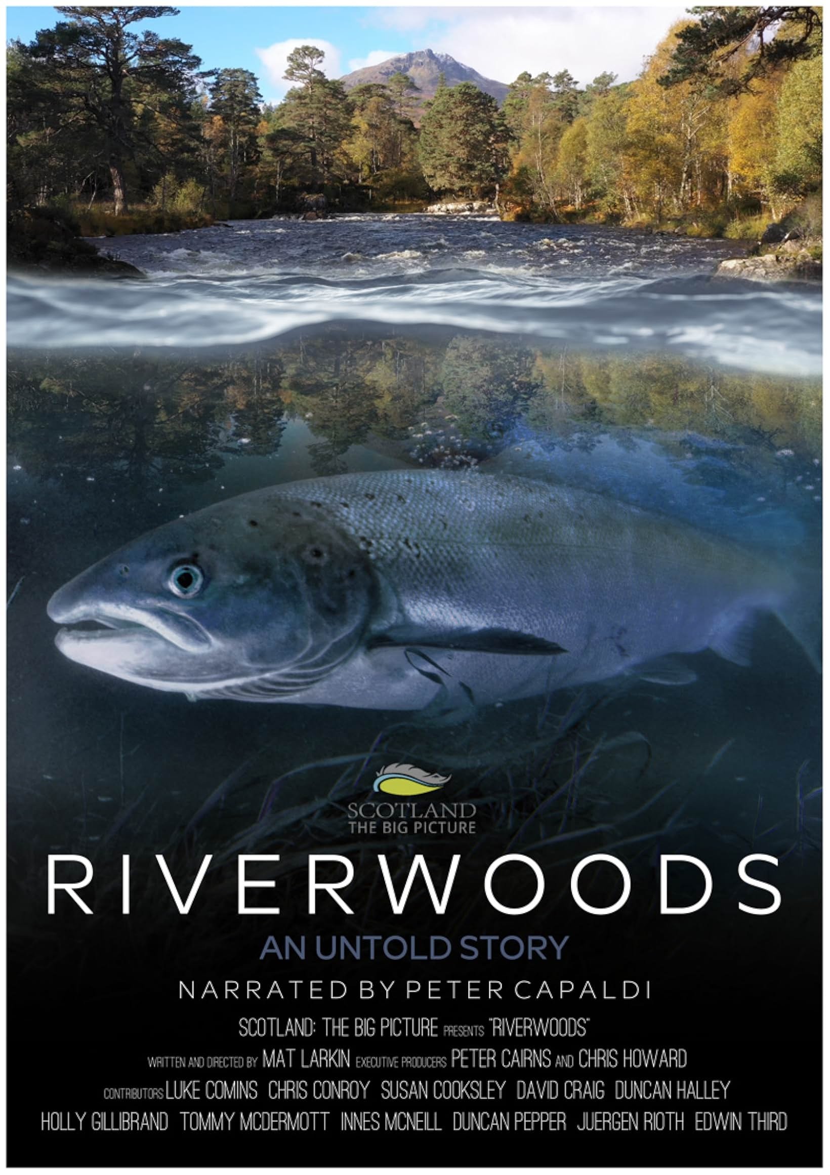 Постер Riverwoods: An Untold Story